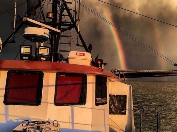 Stonington fisherman at sea