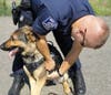 K9 Jimo and Officer Michael Jezierski