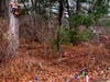 Roadside memorial for Frank Barabas Jr. 