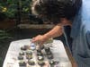 Anne Greene creating her kindness rocks. 