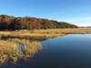 Preserve and salt marsh off Trolley Trail in autumn