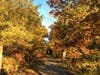 Trolley Trail in autumn