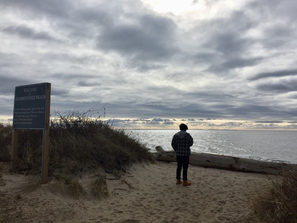 A wintertime visitor to Hammomassett Beach State Park in Madison. 