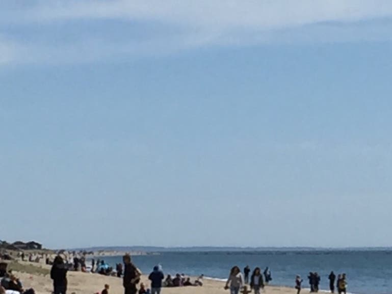 "I am happy to inform you that the Madison town beaches and shellfish beds are now open," First Selectwoman Peggy Lyons said. 