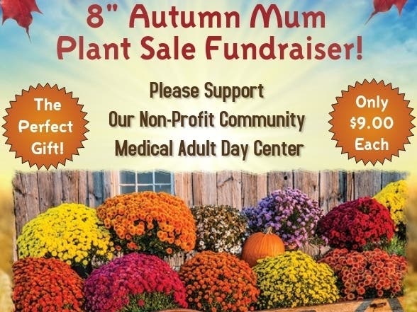 The deadline to order seasonal mums, which helps support the non-profit, is Thursday.  
