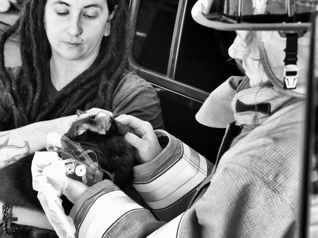 Firefighter / EMT Amie Barnes, of the Chesterfield Fire Company, administers oxygen to a cat.