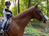 Oreo is the Legendary Race Hill Farm's beloved cat, adored by all, even riders. 
