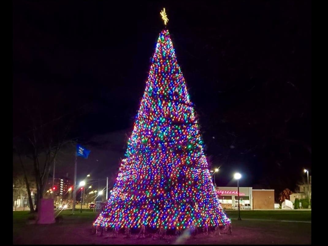 The East Haven Christmas tree on the Town Green.