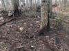 A brush fire on land owned by the Branford Land Trust on a frigid winter night that put many at risk did not have to happen. 