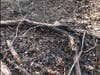 A brush fire on land owned by the Branford Land Trust on a frigid winter night that put many at risk did not have to happen. 
