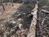 A brush fire on land owned by the Branford Land Trust on a frigid winter night that put many at risk did not have to happen. 