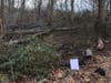 A brush fire on land owned by the Branford Land Trust on a frigid winter night that put many at risk did not have to happen. 