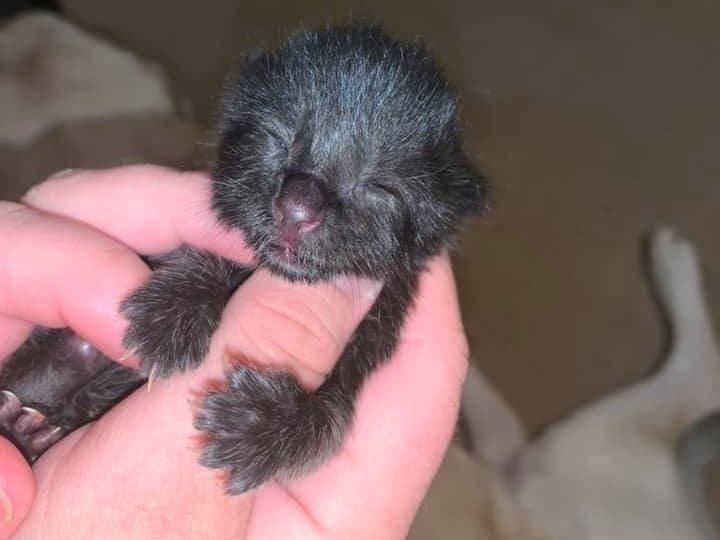 Lucky is surely that. 