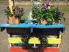 At the North Guilford Nurseries Farmstand 