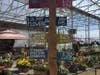 At the North Guilford Nurseries Farmstand 