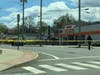 New Haven police investigate after a pedestrian was stuck and killed on Whalley Avenue between Ramsdell and Anthony streets.