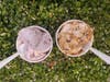 The finalists in the Ashley's Ice Cream and GHS Mental Health Awareness Alliance were Self Care-amel Surprise, sweet cream ice cream with caramel swirl & brownie dough pieces, and Don’t be Blue-berry Pie, blueberry ice cream with graham pie crust swirl. 