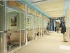 Renderings of what the Dan Cosgrove Animal Shelter will look like after construction is completed. 