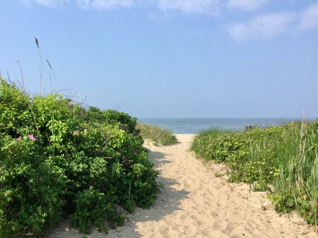 Hammonasset Beach State Park