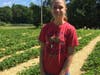 Strawberry picking at Bishop's Orchards