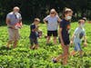 Strawberry picking at Bishop's Orchards