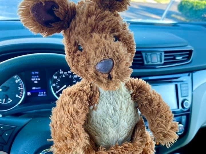 Susan Dallas found this stuffed animal, a cute kangaroo, which she said appears to be "well-loved" and hugged often, on the side of the road in Guilford Wednesday early morning and hopes to find it's owner. 
