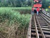 A dense, green stand of bamboo and tree logs dumped into river were removed by town workers with help from Trolley Museum staff and crane.