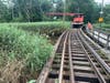 A dense, green stand of bamboo and tree logs dumped into river were removed by town workers with help from Trolley Museum staff and crane.