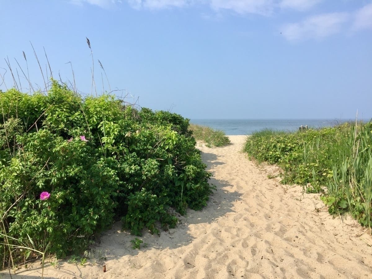 Hammonasset Beach State Park