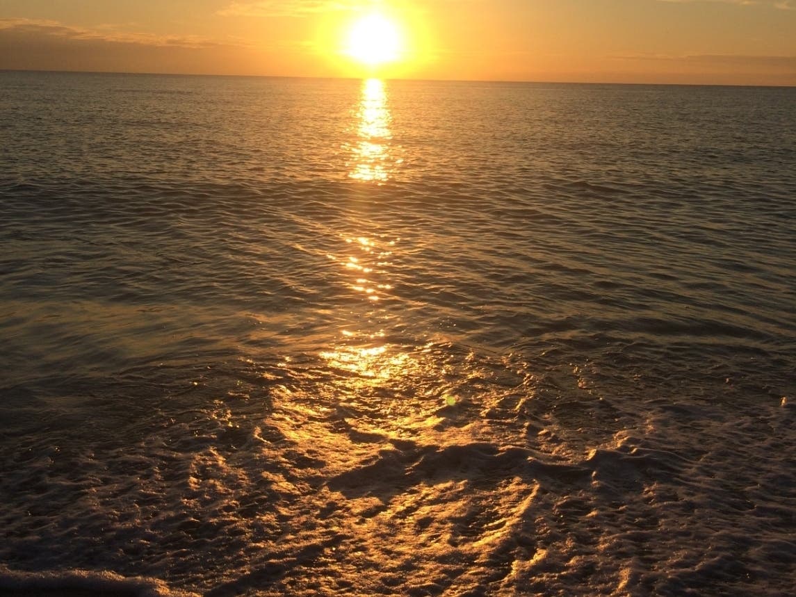 Called Magnolia Care, the "unique program" promotes personal-centered care aimed at providing dignity, comfort, and safety at the end of life. 