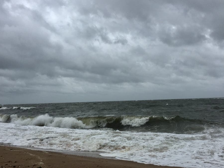  In Branford, damage from Hurricane Ida was felt on Bassett Road and Toole Drive. 