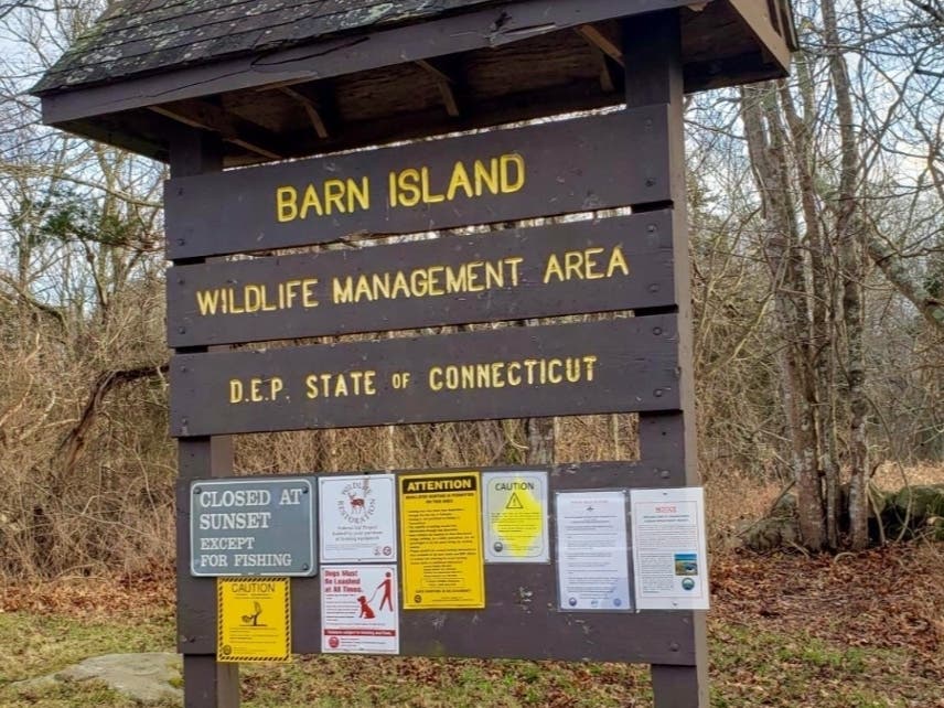 The Connecticut State Police Bureau of Special Investigations has an active criminal investigation as Barn Island, though they decline to provide more details save to say there's no danger to the public. And, it's not a case of found human remains. 