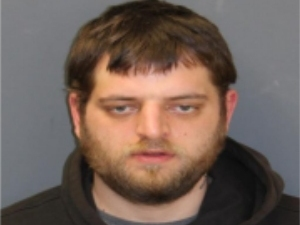 Michael A. Boden, 30, of Lisbon was charged with first-degree larceny, second-degree assault of an elderly person, third-degree robbery, second-degree criminal trover, second-degree breach of peace and cruelty to animals. He was held on a $125,000 bail.