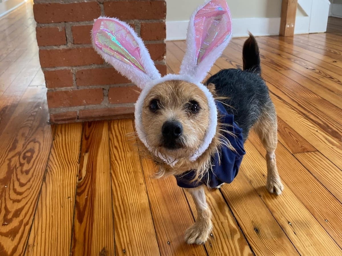 Your heart will melt. Evander deserves love. 