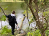 A small dog was rescued from the Supply Pond Tuesday. Shelter director Laura Burban shimmied out onto a log and hovered over the frigid pond to save the pup's life. 