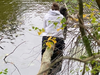  Rescuers from Dan Cosgrove Animal Shelter will do whatever it takes. 
