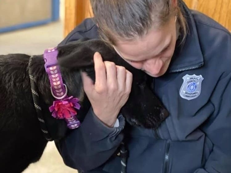 Dawn Buffone has been working at the Dan Cosgrove Animal Shelter since 2009 and has been an Animal Control Officer since 2013.