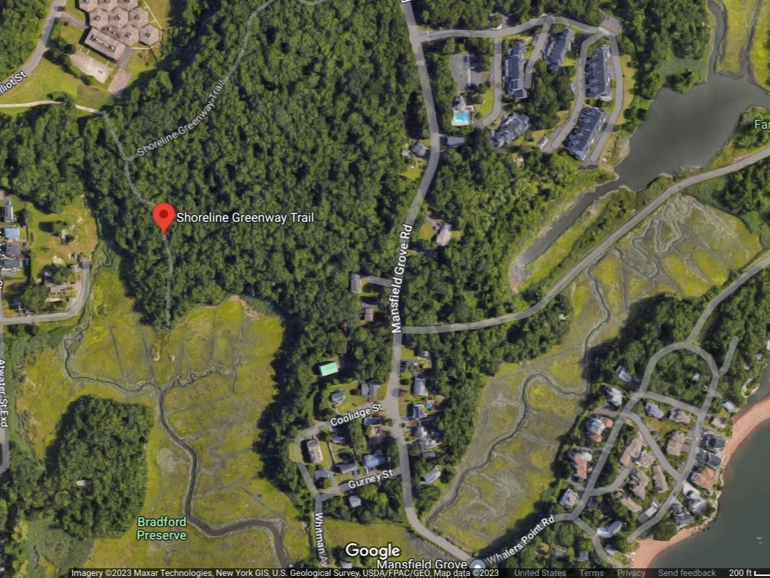 Calling Birders Of All Feathers Walk The Greenway Trail, Spy Birds