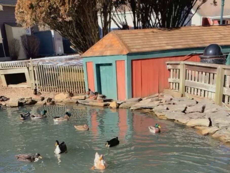 Treasured Tradition: Visit Olde Mistick Village, Celebrating Its 50th 