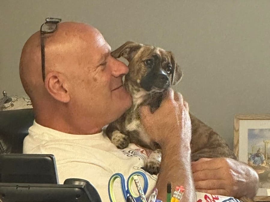 Sunday, a concerned citizen alerted authorities that a puppy was locked inside a very hot car near the town beach. Animal control was called, and the officer made an attempt to find the vehicle's owner on the beach, but no one stepped up.