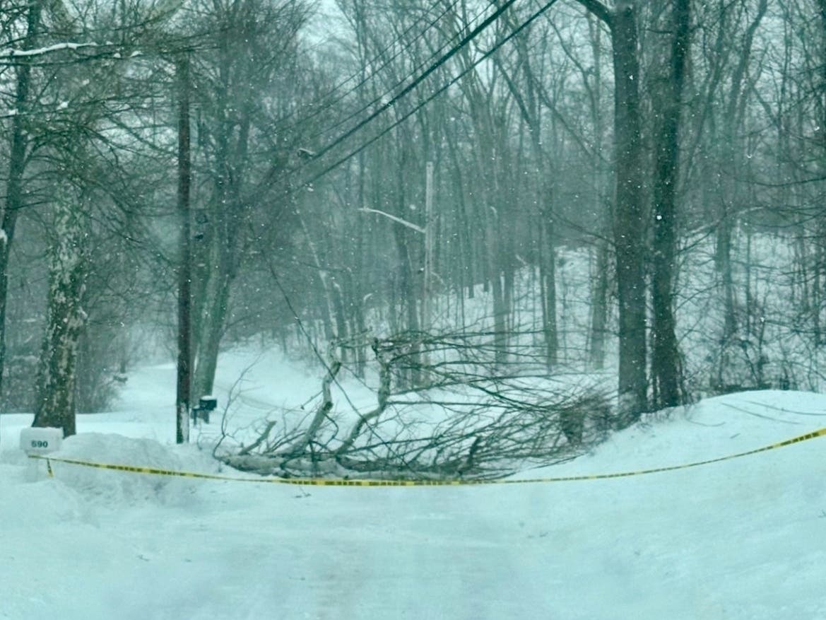 Downed tree limbs, laden with heavy wet snow, dragging power lines with them in the area of the 690 block of Thompson Street, right before the intersection of Valley View.