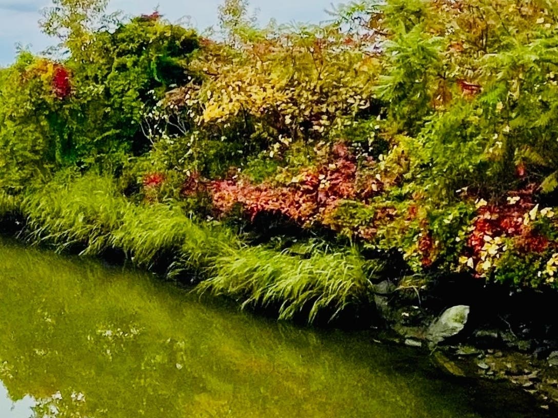 The Farm River and Farm River Estuary is an "enormously complex, productive, and fragile estuarine ecosystem with wooded uplands, high-quality fresh water, and brackish tidal marshes:" Friends Farm River & Estuary 