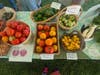 A Branford Community Gardens garden harvest.