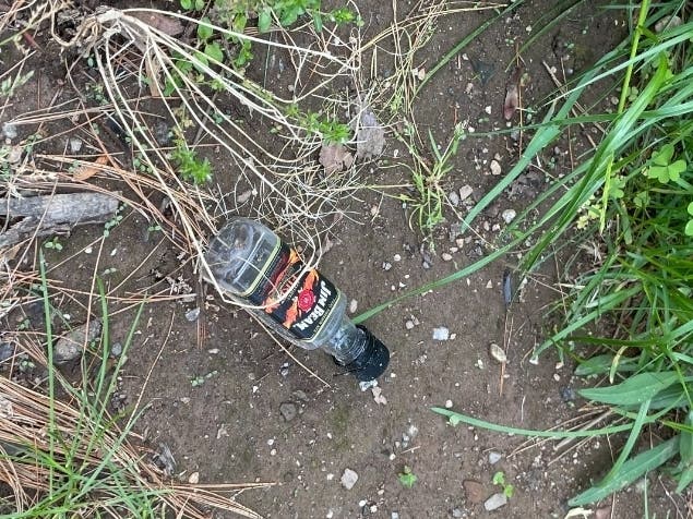 One doesn't have to walk far on a New Haven city street to locate a nip hiding in plain sight. 