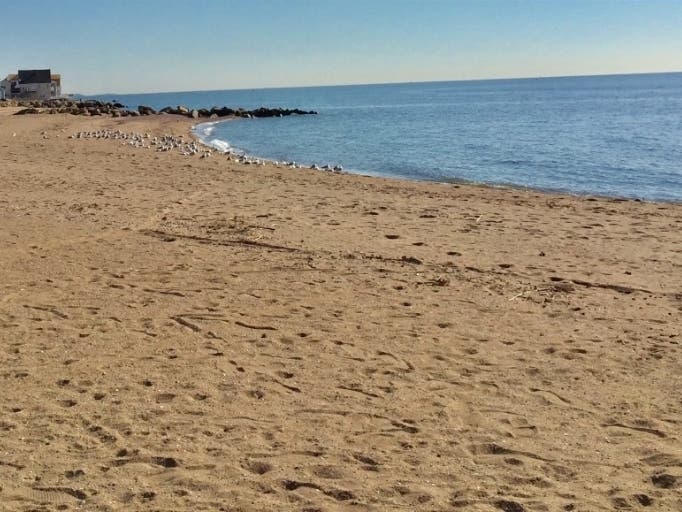 Residents are encouraged to bring chairs, blankets, and beach gear and enjoy an afternoon of live entertainment on the beach.