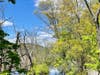 Derrick Hirscht, 50, with autism and mental health challenges, missing since Wednesday, was found Friday near the duck pond, lying face down and concealed within a heavily overgrown area of weeds and grass, unresponsive but breathing faintly, police said.
