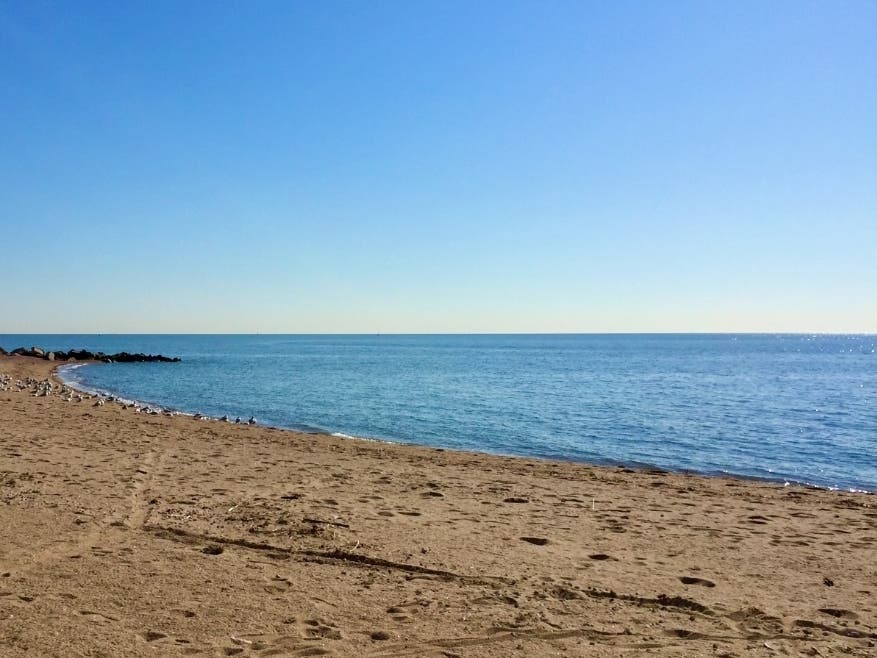 Branford's cleanup is set for Sunday, Sept. 13, from 9 a.m. to noon at Branford Point.