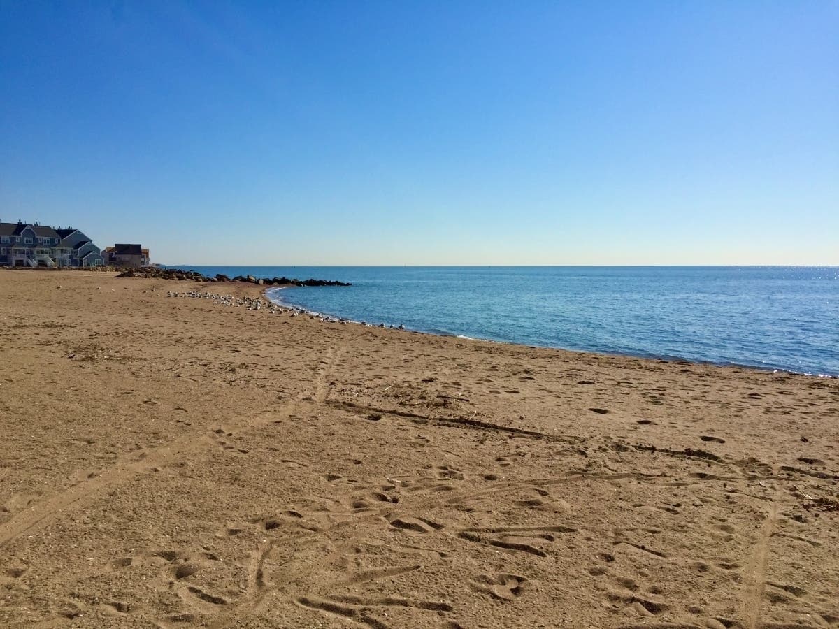 East Haven's cleanup at the Town Beach, 80-4 Cosey Beach Ave., is set for Saturday, Sept. 19, from 9 a.m. to 11 a.m.