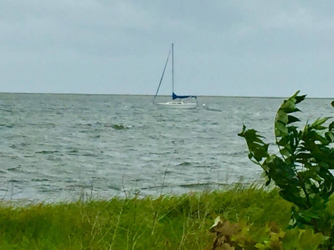 Long Island Sound shoreline and marshes at Long Wharf.