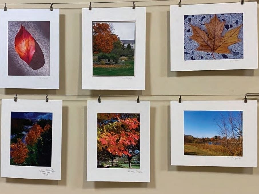 The digital photography club's work on display in the Liberty Clubhouse at Ann's Choice. This fall, members of the digital photography club met up for outdoor  photoshoots, capturing the natural beauty around them. 